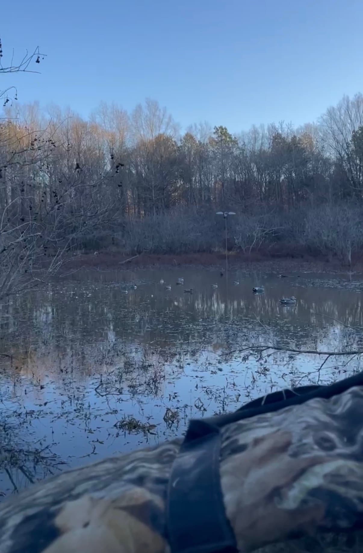 The duck hole at dawn